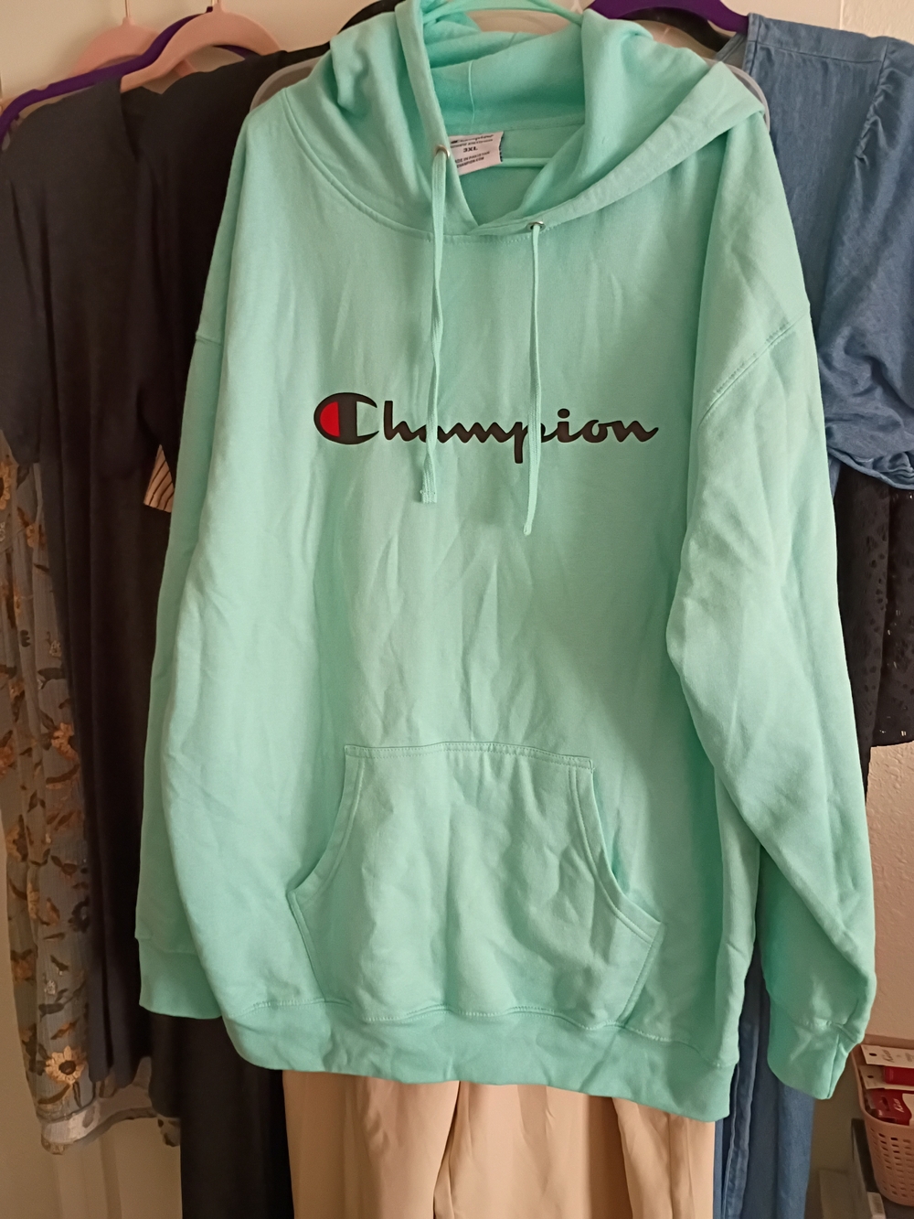 Champion Men's Mint Green Hoodie Sweater